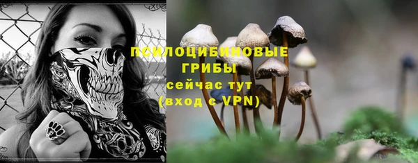Альфа ПВП Нефтекумск