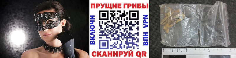Псилоцибиновые грибы прущие грибы  Судогда 