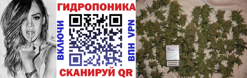ссылка на мегу как зайти  Судогда  Каннабис VHQ 